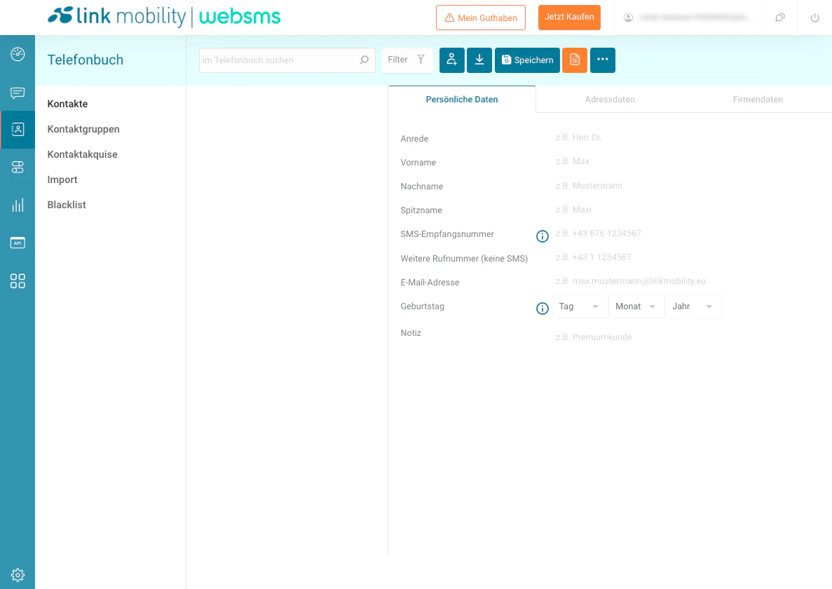 screenshot of websms
