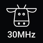 30MHz logo