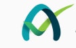 AgeChecker.Net logo