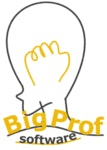 AppGini logo