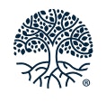 AtlasFive logo