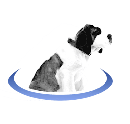 BerniePortal logo