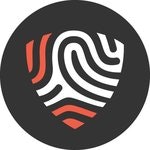 BigID logo