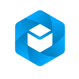 BigPicture logo