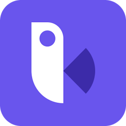 Birdview logo