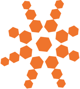 Bloomfire logo