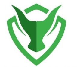 Bullvoice logo