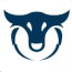 Bullzeri logo
