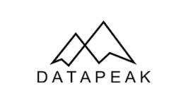 DataPeak logo