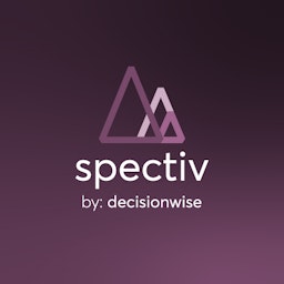 DecisionWise logo