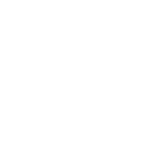 Findur logo