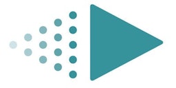 IntellectusStatistics logo