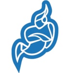 Jitsi logo