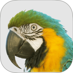Macaw logo
