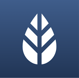 MoreApp logo
