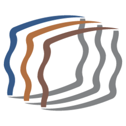 PDMPlus logo