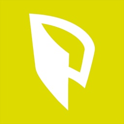 Paginae logo