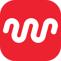 software logo