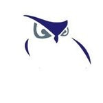 Sentinel logo