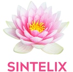 Sintelix logo