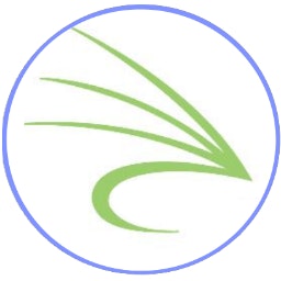 Snowfly logo