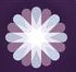 SocialFlow logo