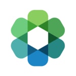 Symflower logo