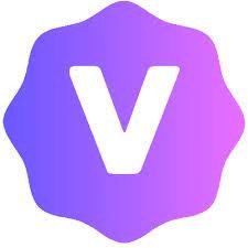 Vidalgo logo
