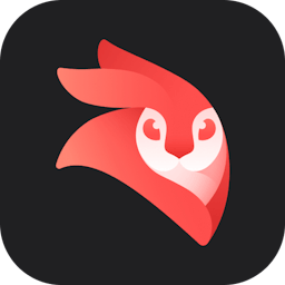 Videoleap logo