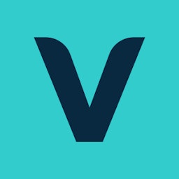 Viewteam logo