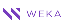 software logo