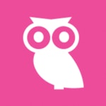 Wisboo logo