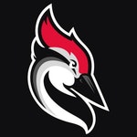 Woodpecker.co logo