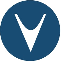 vManager logo